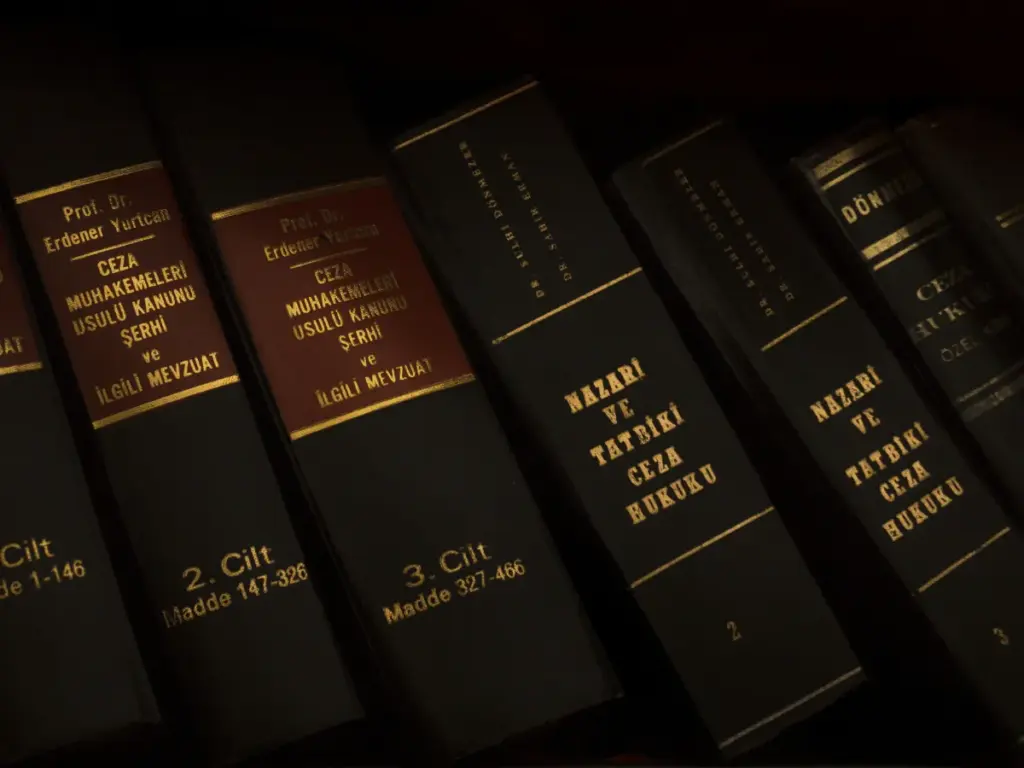 剛性憲法與柔性憲法差異圖，說明修憲難易度與制度差異